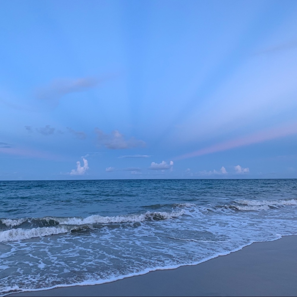 Meet your Posher, Aislyn